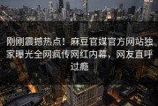 刚刚震撼热点！麻豆官媒官方网站独家曝光全网疯传网红内幕，网友直呼过瘾