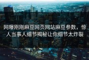网曝刚刚麻豆网页网站麻豆参数，惊人当事人细节揭秘让你细节太炸裂