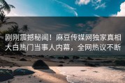 刚刚震撼秘闻！麻豆传媒网独家真相大白热门当事人内幕，全网热议不断
