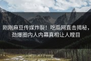 刚刚麻豆传媒炸裂！吃瓜网直击揭秘，劲爆圈内人内幕真相让人瞠目