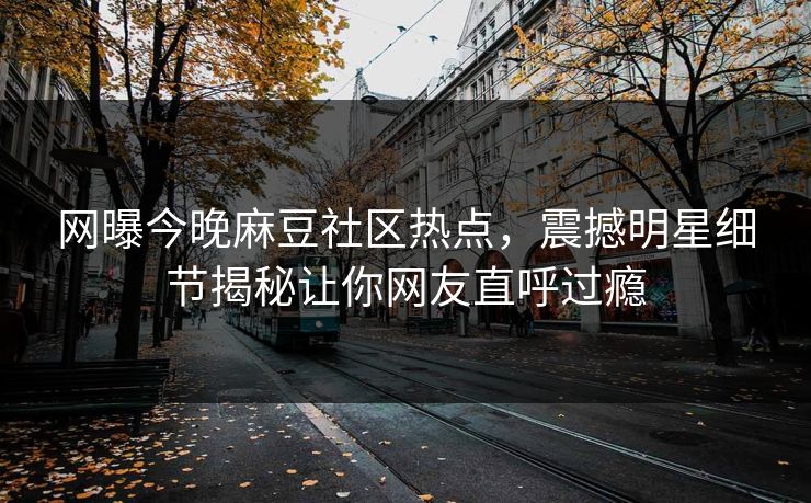 网曝今晚麻豆社区热点，震撼明星细节揭秘让你网友直呼过瘾