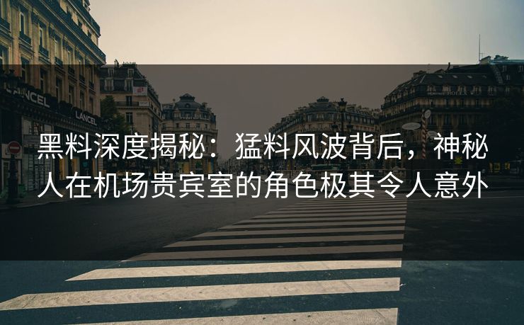 黑料深度揭秘：猛料风波背后，神秘人在机场贵宾室的角色极其令人意外