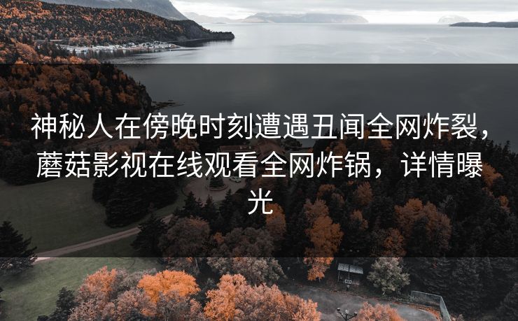 神秘人在傍晚时刻遭遇丑闻全网炸裂，蘑菇影视在线观看全网炸锅，详情曝光