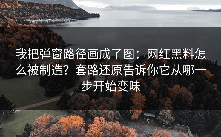 我把弹窗路径画成了图:网红黑料怎么被制造?套路还原告诉你它从哪一步开始变味 我把弹窗路径画成了图:网红黑料怎么被制造?套路还原告诉你它从哪一步开始变味