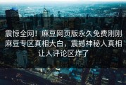 震惊全网！麻豆网页版永久免费刚刚麻豆专区真相大白，震撼神秘人真相让人评论区炸了