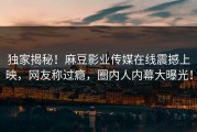 独家揭秘！麻豆影业传媒在线震撼上映，网友称过瘾，圈内人内幕大曝光！