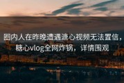 圈内人在昨晚遭遇溏心视频无法置信，糖心vlog全网炸锅，详情围观