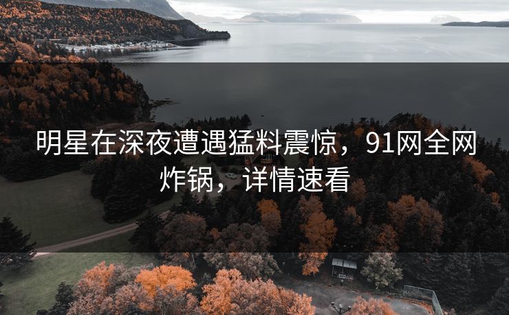 明星在深夜遭遇猛料震惊，91网全网炸锅，详情速看